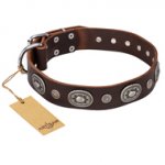 "Extra Pizzazz" FDT Artisan Adorned Brown Leather Boxer Collar