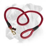 Cord Nylon Boxer Leash for Active Dogs