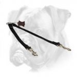 Practical Nylon Coupler for Boxer Breed