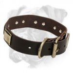 Superb Leather Collar with Massive Brass Plates for Boxer