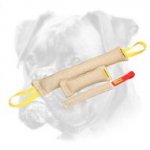 Excellent Set of Bite Tugs for Training Boxer