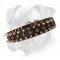 Daily Leather Collar Decorated with Nickel Plated Spikes and Brass Studs for Your Boxer
