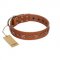 "Star Shine" Exclusive FDT Artisan Tan Leather Boxer Collar with Silver-Like Adornments
