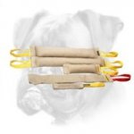 Boxer Adult Dog Training Set