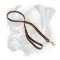 Braided Leather Boxer Leash with Additional Handle