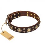 'Flower Melody' Boxer FDT Artisan Brown Leather Collar with Mixed Studs