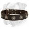 Gorgeous Leather Boxer Collar with Silver Conchos