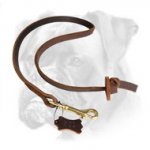 Professional Pocket Leather Boxer Leash