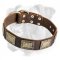 High Quality Leather Boxer Collar with Brass Plates