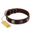 "Nut-Brown Finery" Embellished FDT Artisan Brown Leather Boxer Collar with Chrome Plated Crossbones and Plates
