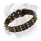 Truly Boxer Dog Leather Collar Decorated with Spikes and Studs