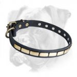 Leather Special Boxer Collar With Plates
