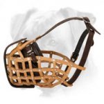 Leather Basket Dog Muzzle for Boxer
