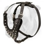 Unbelievably Stylish and Comfortable Leather Harness for Active Boxer
