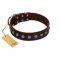 "Spring Flower" Stylish FDT Artisan Brown Leather Boxer Collar for Comfy Walks