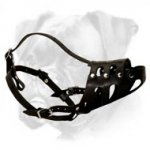 Anti-Barking Leather Boxer Muzzle
