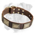 High Quality Leather Boxer Collar with Brass Plates