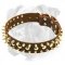 High Quality Leather Boxer Collar with Brass Spikes and Nickel Studs