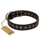 "Stars of Glory" FDT Artisan Brown Leather Boxer Collar for Comfortable Walking
