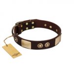 "Sense of Freedom" FDT Artisan Brown Leather Boxer Collar with Old Bronze-Plated Studs and Plates