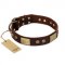 "Shining Armour" FDT Artisan Brown Leather Boxer Collar with Decorations