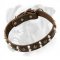 Leather Dog Collars with Studs and Pyramids for Boxer