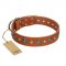 "Natural Beauty" FDT Artisan Tan Leather Boxer Collar with Shining Silver-like Studs