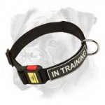 Professional Nylon Boxer Collar with ID Patches and Easy Quick Release Buckle