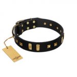 "Fit for Royalty" FDT Artisan Black Leather Boxer Collar with Plates and Small Square Studs