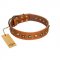"Prez of the Pack" FDT Artisan Tan Leather Boxer Collar with Skulls and Brooches