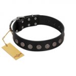 "Silent Star" Handmade FDT Artisan Designer Black Leather Boxer Collar with Engraved Plates
