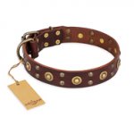 "Caprice of Fashion" FDT Artisan Brown Leather Boxer Collar with Round Decorations