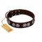 "High and Mighty" FDT Artisan Classy Brown Leather Boxer Collar with Embellished Brooches