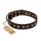 "Bronze Sheen" FDT Artisan Leather Boxer Collar with Brass-Plated Studs
