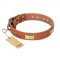 "Enchanting Spectacle" FDT Artisan Tan Leather Boxer Collar with Old Bronze Look Plates and Round Studs