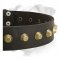 Leather Collar with Brass Pyramids for Boxer