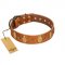 "Glossy Autumn" Designer Handmade FDT Artisan Tan Leather Boxer Collar with Ovals and Studs