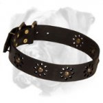 'Spring mood' Leather Boxer Collar for Walking