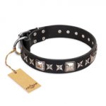 'Space Walk' FDT Artisan Black Leather Boxer Collar with Adornments