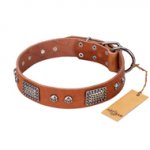 "Sparkling Skull" FDT Artisan Tan Leather Boxer Collar with Old Silver Look Plates and Skulls