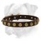 Tremendous Leather Boxer Collar with Brass Dotted Circles - Amazing Accessory for Every Dog