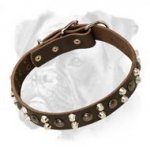 Gorgeous Leather Collar with Pyramids and Studs for Training and Walking Your Boxer