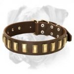 Handmade leather Collar With Goldish Plates