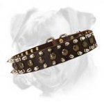 Daily Leather Collar Decorated with Nickel Plated Spikes and Brass Studs for Your Boxer
