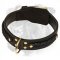 Gorgeous Braided Super Wide Leather Boxer Collar