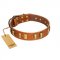 "Olive Slice" FDT Artisan Tan Leather Boxer Collar with Engraved and Smooth Plates
