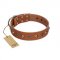 "Silver Age" Fashionable FDT Artisan Tan Leather Boxer Collar with Silver-Like Studs