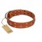 "Tawny Beauty" FDT Artisan Tan Leather Boxer Collar Adorned with Stars and Tiny Squares