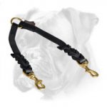 Leather Braided Boxer Leash for Walking Two Dogs