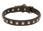 Leather Boxer Collar with One Row of Nickel Studs